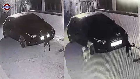 Dog scratches car in an act of revenge in Madhya Pradesh.