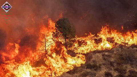 Los Angeles wildfires