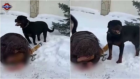A woman protected her child from a Rottweiler attack in Russia.