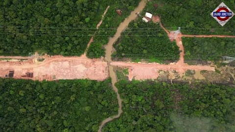 Brazil Cuts Down Thousands Of Trees In Amazon Rainforest To Build Road For COP30 climate summit
