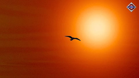 शौर्य - An Immortal Vow Against Terror