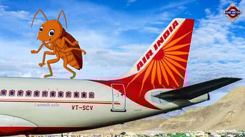 Panic In Air India Continues As Cockroaches Found In Flight