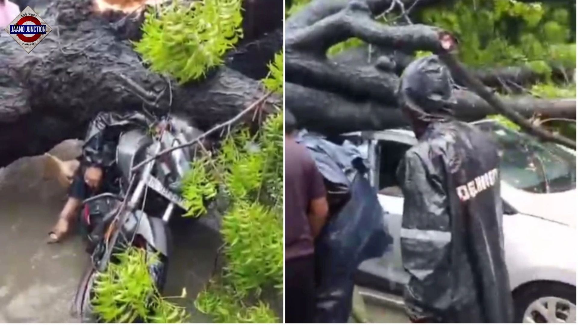 A large tree fell on a bike in Delhi’s Kalkaji amid heavy rain, killing one and injuring two.