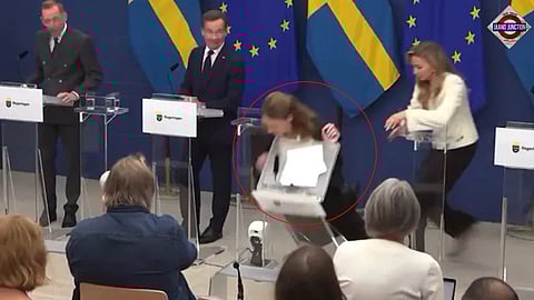 Sweden’s new health minister collapses on live TV