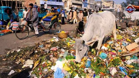 India Among Top 10 Countries Wasting The Most Food - And What You Can Do To Help