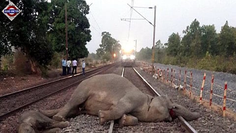 8 elephants killed, 5 coaches of Rajdhani Express derail in Assam accident