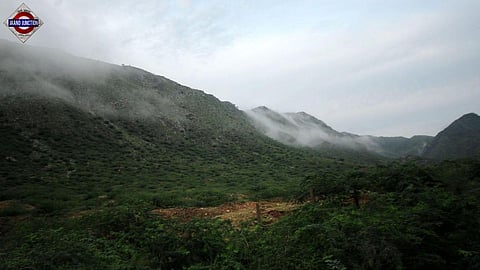 Aravalli hills
