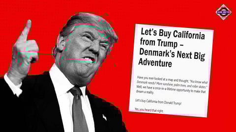 'Let's Buy California': Danish Petition Promises Sandwiches, Lifetime Supply Of Pastries To Hollywood