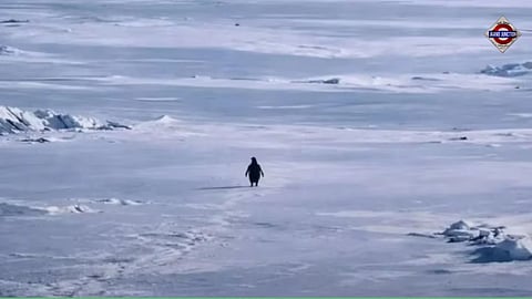 The scene comes from Herzog’s film Encounters at the End of the World (2007): a lone Adélie penguin heads toward Antarctic mountains instead of the sea.
