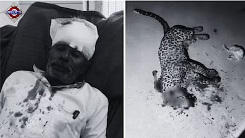 Man kills leopard in Gir, Gujarat.