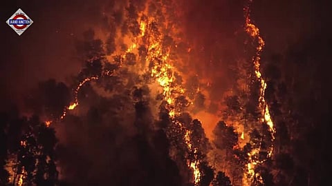 Japan wildfires