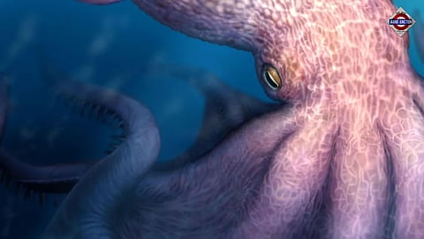 Meet the 19-metre octopus that prowled the ancient seas