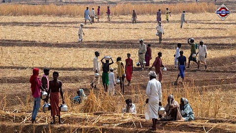 Supercharged El Niño Could Hit Farms, Power Supplies and Food Security Across India