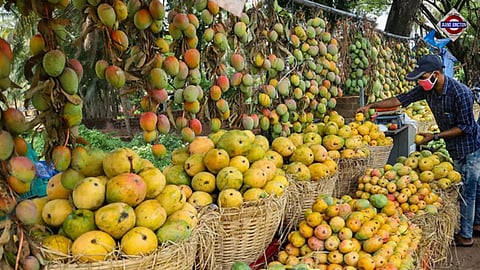 After Japan, Nepal Bans Import Of Indian Mangoes Over This Issue
