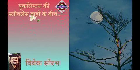 यूकलिप्टस की स्लीवलेस बाँहों के बीच | JJ Podcast