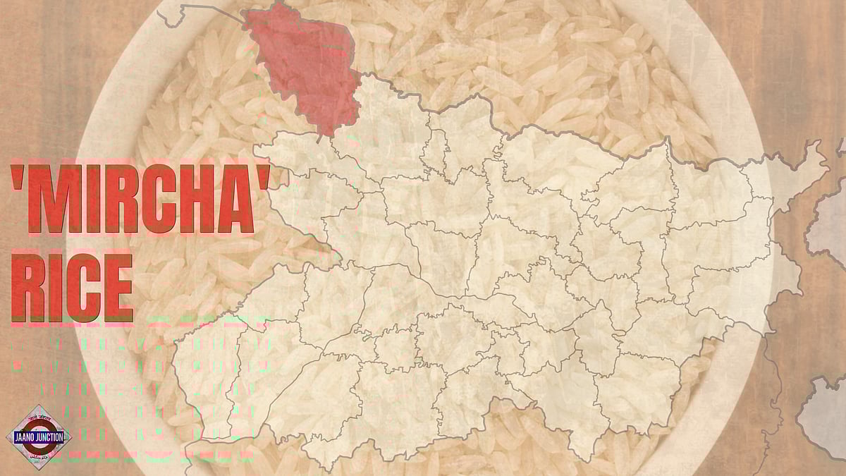 The aromatic ‘Mircha’ rice of Bihar’s West Champaran gets GI tag