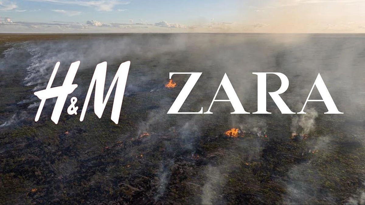 Report links H&M and Zara to deforestation, land grabbing, corruption in Brazil