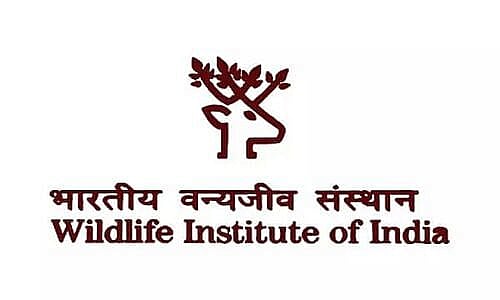 Wildlife Institute of India Recruitment 2024 Project Assistant
