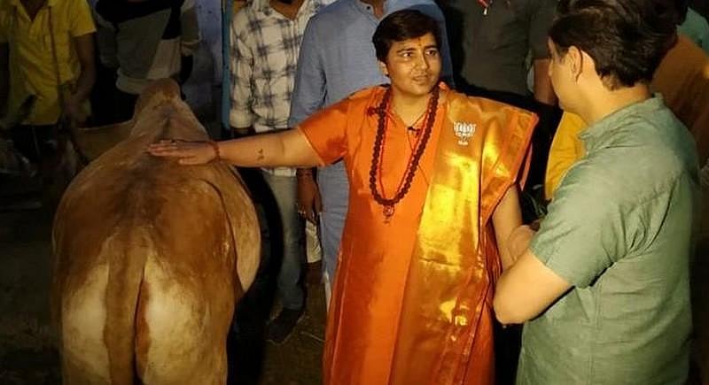 புற்றுநோயை ‘கோமியம்’ குணப்படுத்தியதா? - பிரக்யா தாகூர் பொய் பரப்புரை செய்தது அம்பலம்!