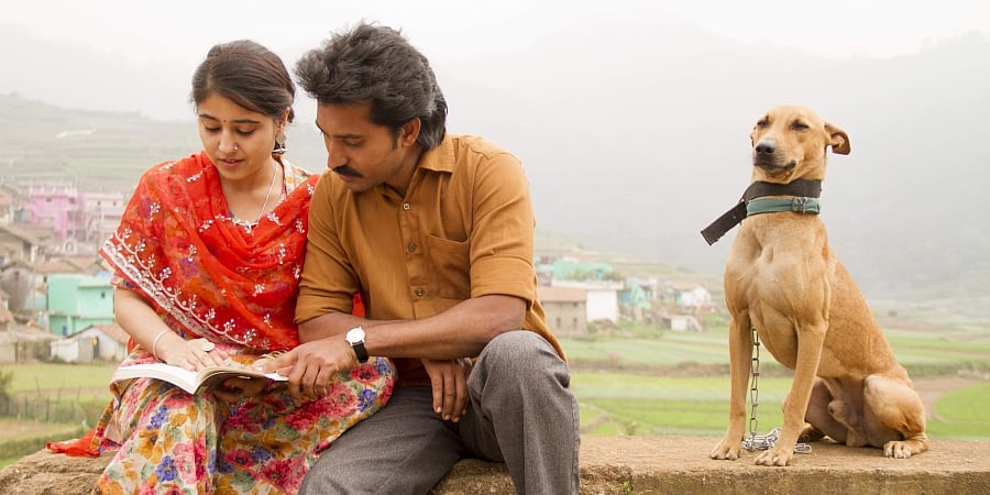 மெஹந்தி சர்க்கஸ்