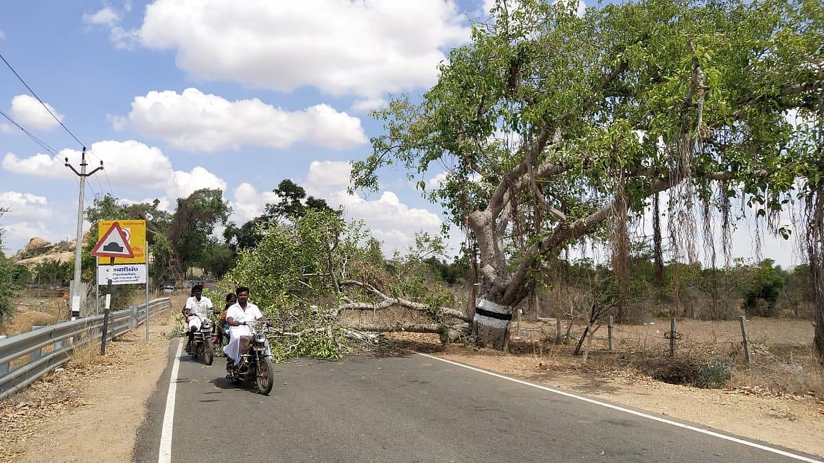 பொன்னமராவதி