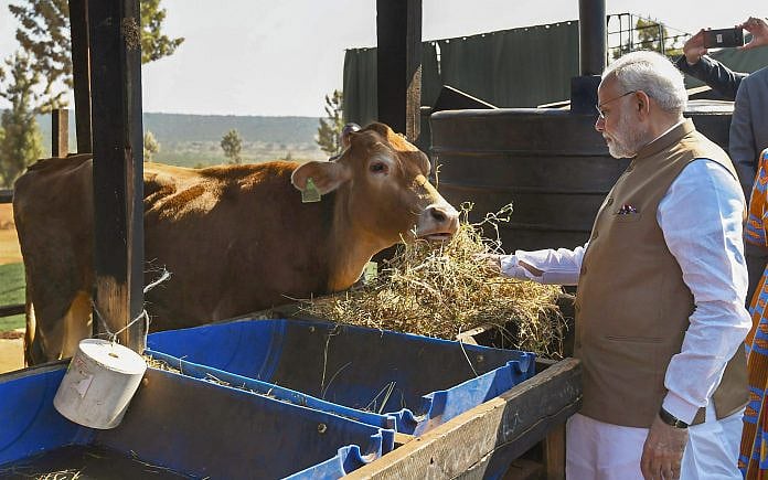 பா.ஜ.க.,வுக்கு ‘ஆப்பு’ வைக்கும் கோமாதா! - இதுதான் உத்தர பிரதேச அரசியல் நிலவரம்  