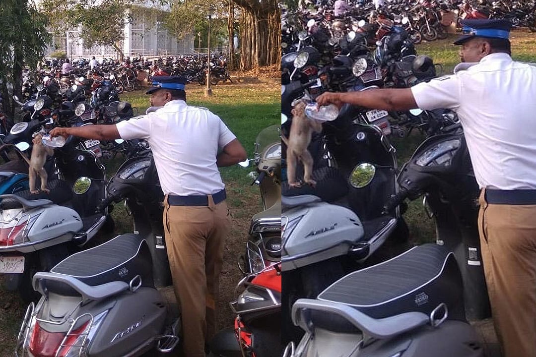 குரங்கின் தாகத்தை போக்கிய டிராஃபிக் போலீஸ்: வாக்கு எண்ணிக்கையின் போது நெகிழ்ச்சி!