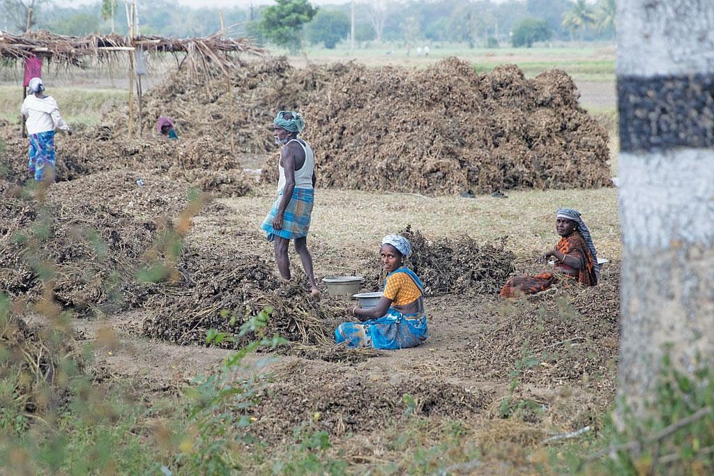 கெயில் நிறுவன பணியை தடுத்ததாக விவசாயிகள் 8 பேர் மீது போலீஸ் வழக்குப்பதிவு! 