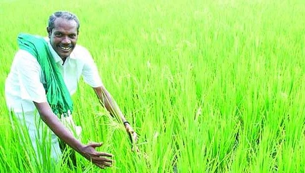 12-ம் வகுப்பு பாடத்தில் இயற்கை விவசாயி நெல் ஜெயராமன் பற்றிய குறிப்புகள்!