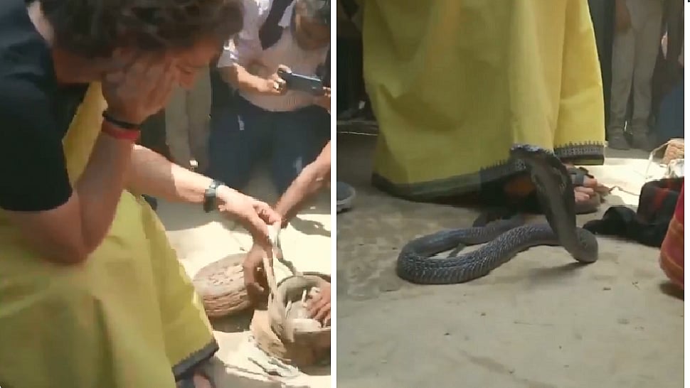 பயமா.. எனக்கா.. பாம்புடன் விளையாடிய பிரியங்கா காந்தி