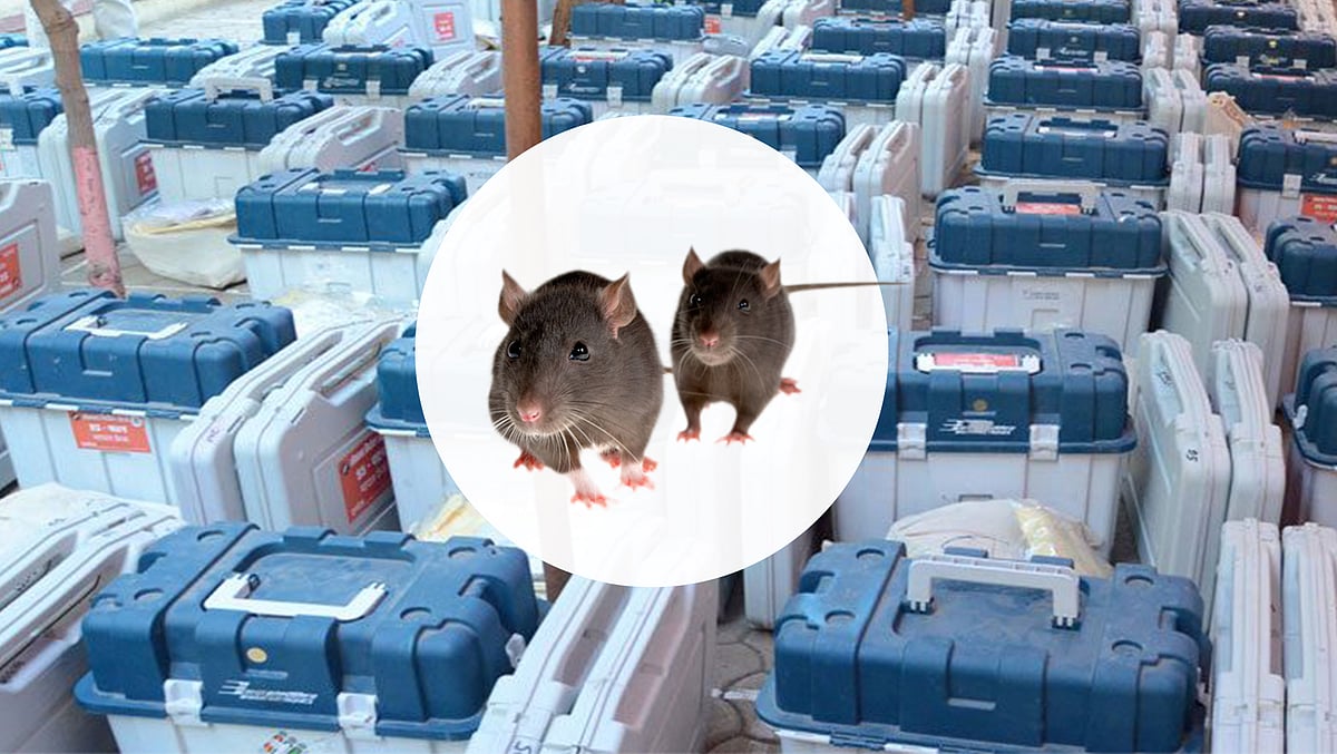 எலிகளால் வாக்கு பதிவு இயந்திரங்களுக்கு ஆபத்து - வேட்பாளர் புகார் !