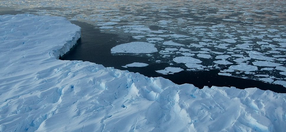 2050-க்குள் 90% மனிதர்கள் மாண்டுபோவார்கள் - பகீர் கிளப்பும் ஆய்வறிக்கை!