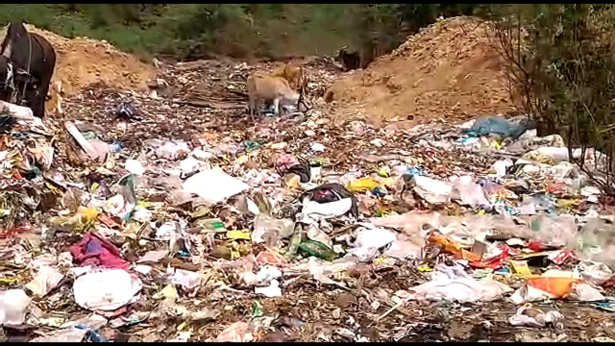 குப்பைக் கிடங்காகும் பாலாறு : வேலூர் மாநகராட்சி பதிலளிக்க உயர்நீதிமன்றம் உத்தரவு!