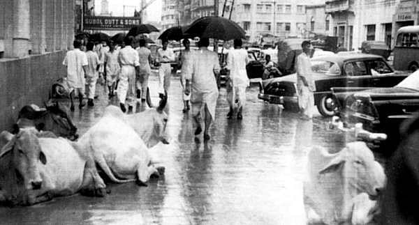 சே குவேரா கண்ட இந்தியா! : சே பிறந்ததின சிறப்புப் பகிர்வு!