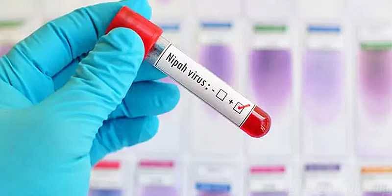 கேரளாவில் மீண்டும் நிபா வைரஸ் தொற்று பாதிப்பு - கேரள அமைச்சர் சைலஜா உறுதி 