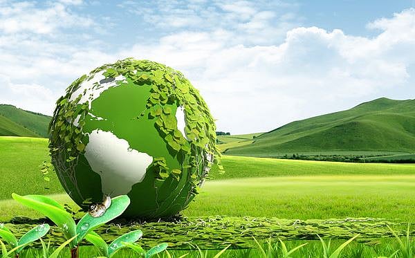 கண்முன்னே அழியும் பூமி : சுற்றுச்சூழல் பாதுகாப்பில் உடனடித் தேவை என்ன ? #WorldEnvironmentDay