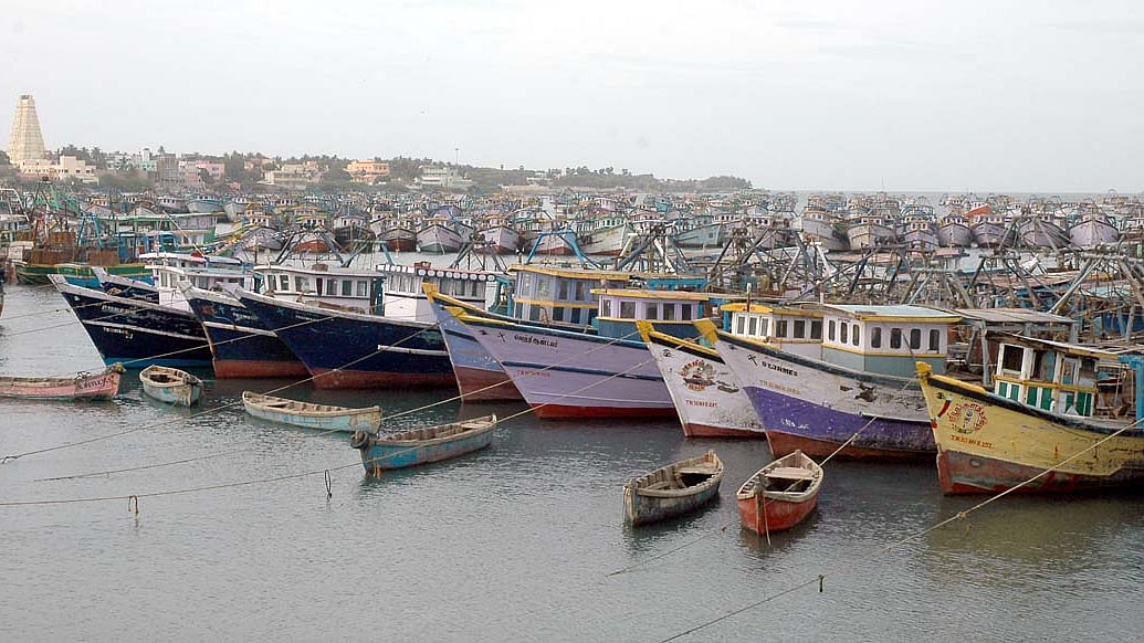 குறைந்த விலைக்குக் கேட்கும் ஏற்றுமதியாளர்கள் : ராமேஸ்வரம் மீனவர்கள் ஸ்ட்ரைக்!