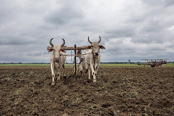 48% விவசாய குடும்பத்தின் அடுத்த தலைமுறை விவசாயத்தில் ஈடுபடப்போவதில்லை : ஆய்வில் அதிர்ச்சி!