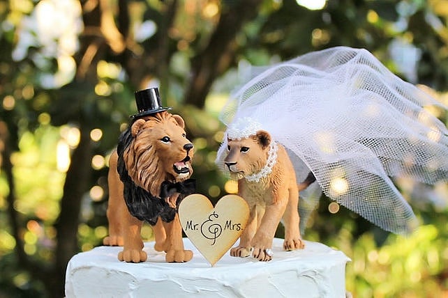 கழுதைக்கு பெயிண்ட் அடித்து வரிக்குதிரையாக மாற்றிய ஹோட்டல் நிர்வாகம் : விலங்குகள் நல வாரியம் எச்சரிக்கை !