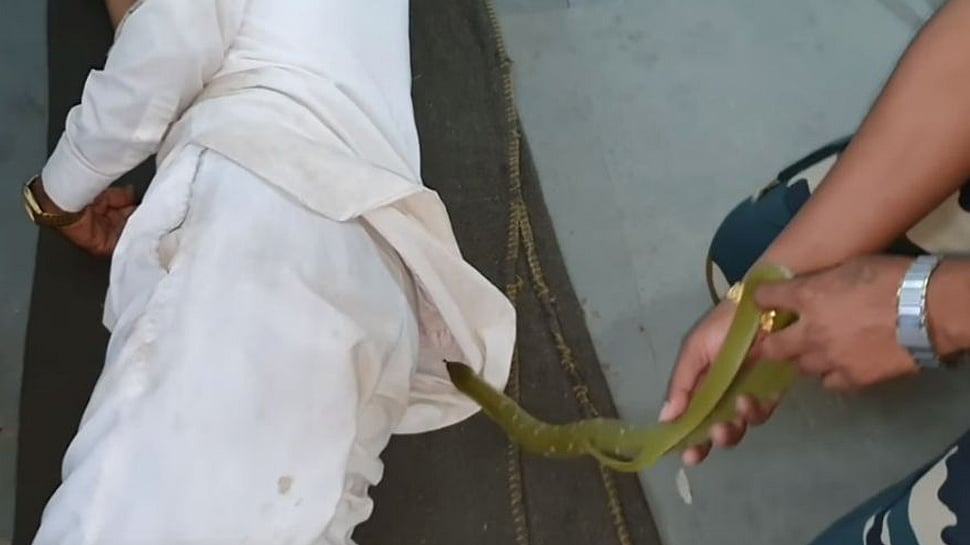 தூங்கிக் கொண்டிருந்த முதியவரின் சட்டைக்குள் சென்று பதுங்கிய பாம்பு: சத்தமில்லாமல் மீட்ட வனத்துறை (வீடியோ)