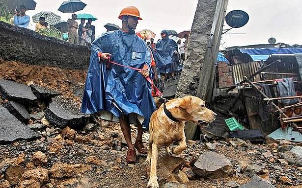 மும்பையில் வரலாறு காணாத கனமழை : இதுவரை 47 பேர் பலி எனத் தகவல்!