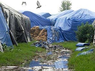 குழந்தைகள் மதிய உணவுத் திட்டத்திற்கான ஒரு லட்சம் கிலோ உணவு அழுகல் : பா.ஜ.க ஆளும் மாநிலத்தின் அவலம் 