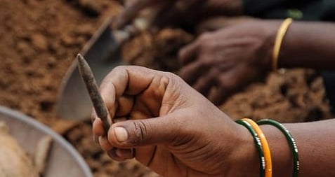 எலும்பு எழுத்தாணி