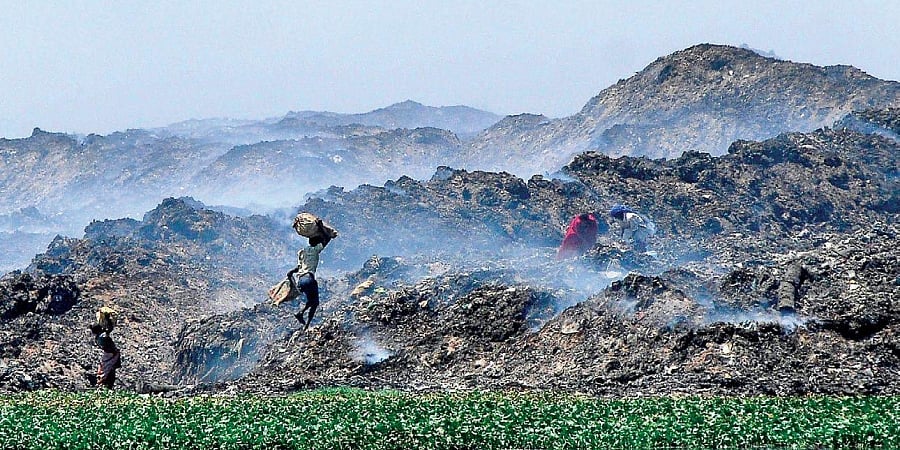பள்ளிக்கரணை சதுப்பு நிலத்தை ஆக்கிரமித்தது மத்திய அரசு நிறுவனங்களே ! - அதிர்ச்சி அளிக்கும் ஆய்வறிக்கை 