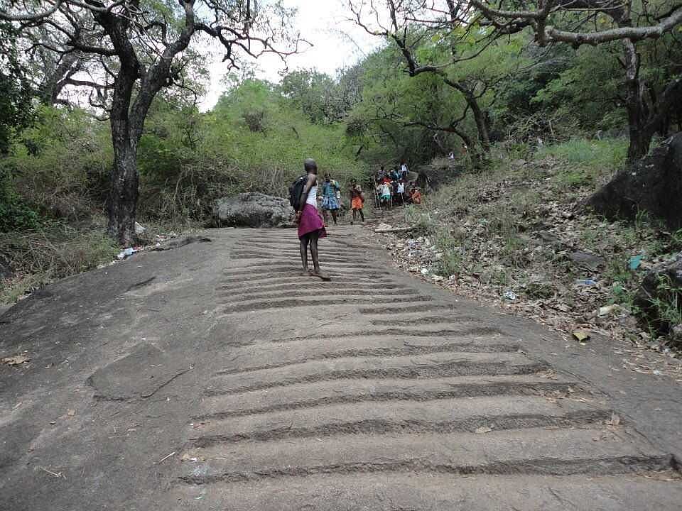 வெள்ளியங்கிரி மலை அடிவாரத்தில் வீடுகள் கட்டக்கூடாது- உயர்நீதிமன்றம் தடை ஆணை!