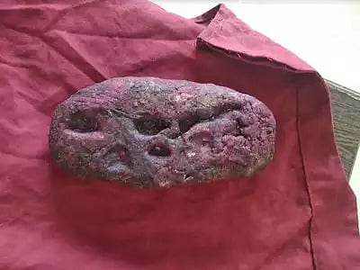 பிரசவ உதவித் தொகை பெறுவதற்காக கோதுமை மாவில் குழந்தை செய்து எடுத்து வந்த பெண் - அதிர்ச்சியடைந்த ஊழியர்கள்