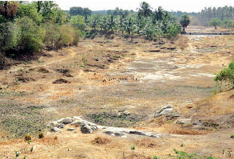 வெள்ளியங்கிரி மலை அடிவாரத்தில் வீடுகள் கட்டக்கூடாது- உயர்நீதிமன்றம் தடை ஆணை!