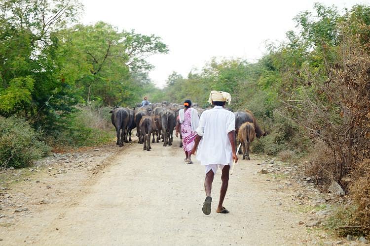 “இங்க இருந்த ஊரு எங்க?” : தெலங்கானாவில் காணாமல் போன ‘அத்திப்பட்டி’கள்!