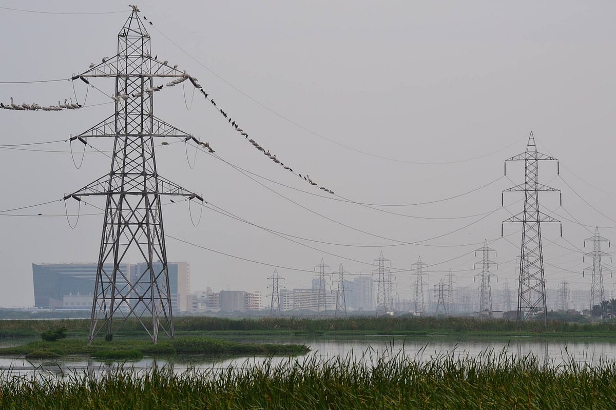 பள்ளிக்கரணை சதுப்பு நிலத்தை ஆக்கிரமித்தது மத்திய அரசு நிறுவனங்களே ! - அதிர்ச்சி அளிக்கும் ஆய்வறிக்கை 