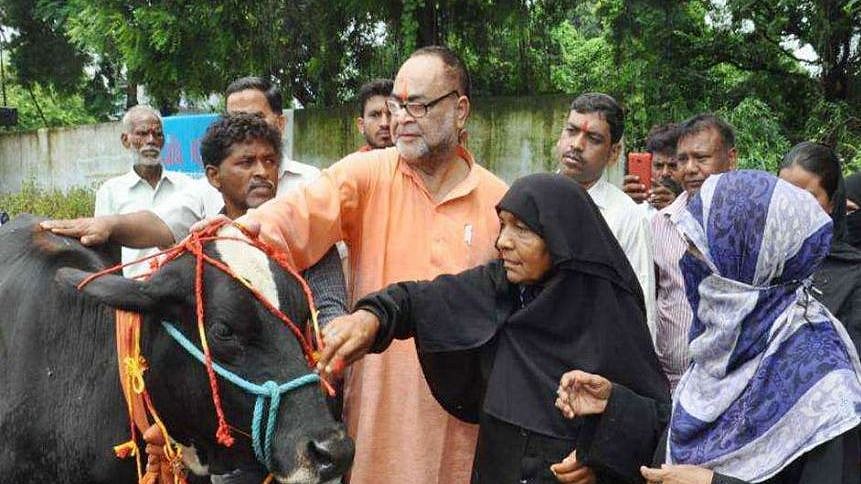 மாட்டுக்கு ராக்கி கட்டி சகோதரி ஆக்கிவிட்டால், யாரும் கொல்லமாட்டார்கள்: பா.ஜ.க நிர்வாகியின் ‘அடடே’ யோசனை !